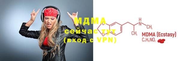 индика Горнозаводск